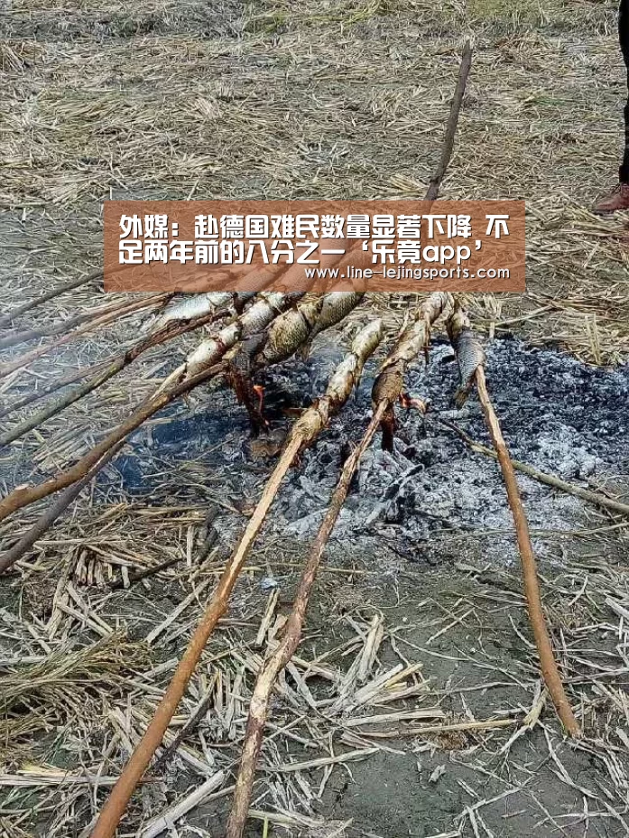 外媒:赴德国难民数量显著下降 不足两年前的八分之一‘乐竟app’(图3) 乐竟app