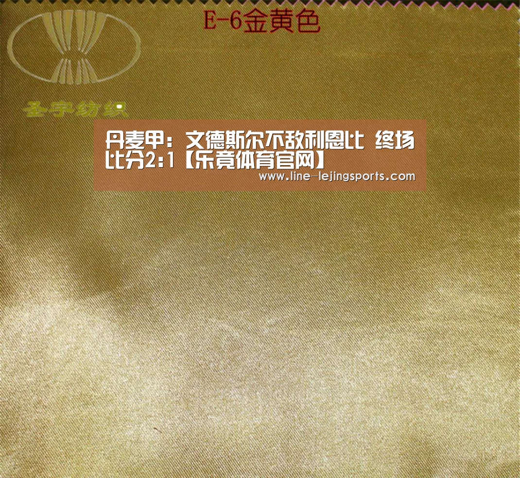 丹麦甲: 文德斯尔不敌利恩比 终场比分2:1【乐竟体育官网】(图1) 乐竟官方网站