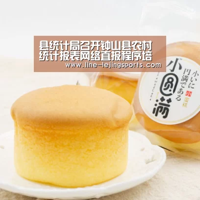 县统计局召开钟山县农村统计报表网络直报程序培训暨乡镇统计规范化建设工作布置会‘乐竟官方网站’(图2) 乐竟app