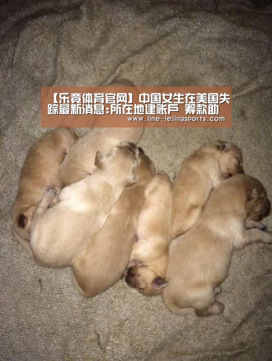 【乐竟体育官网】中国女生在美国失踪最新消息:所在地建账户 筹款助章莹颖家人(图1) 乐竟体育官网