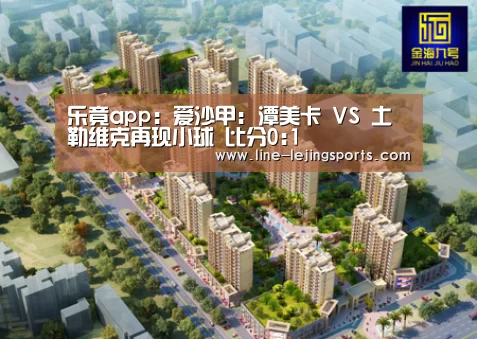 乐竟app:爱沙甲: 潭美卡 VS 土勒维克再现小球 比分0:1(图3) 乐竟
