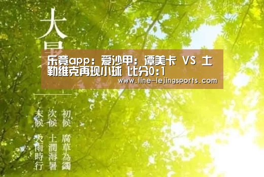 乐竟app:爱沙甲: 潭美卡 VS 土勒维克再现小球 比分0:1(图4) 乐竟体育官网
